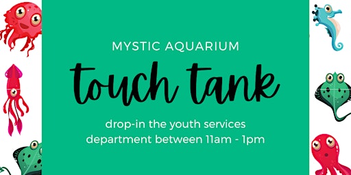 Touch Tank Experience: Provided by Mystic Aquarium for all ages