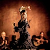 Logo di Flamenco Santa Barbara