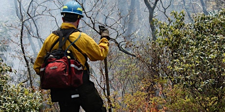 Fire in the Mountains: a panel with leading fire experts primary image