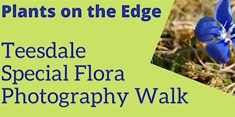 Teesdale Special Flora Photography Walk tickets