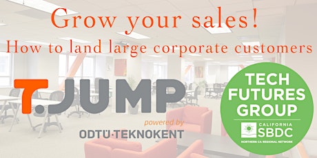 Primaire afbeelding van Grow your sales! How to land large corporate customers