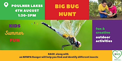 Big Bug Hunt