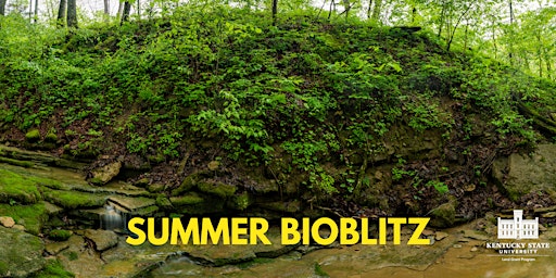 Summer Bioblitz at the Environmental Education and Research Center primary image