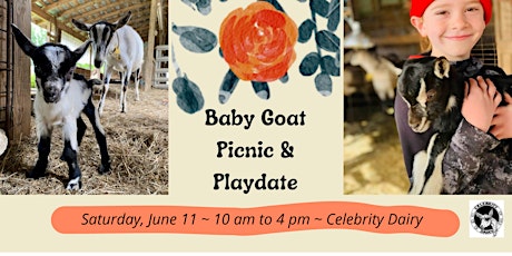 Baby Goat Picnic & Playdate primary image