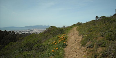 The Nature of San Bruno Mountain