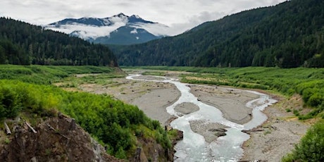 Elwha Ecosystem Restoration – 10 dam-free years and counting