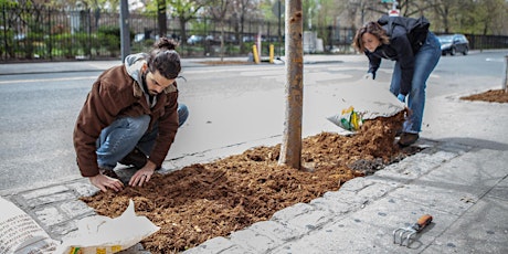 Street Tree Stewardship with Trees New York primary image