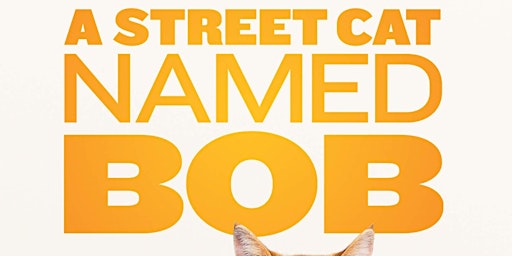 Movie Night with Cats- A Street Cat Named Bob