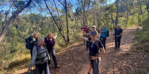 Wednesday Walks for Women - Chambers Gully 27th of July