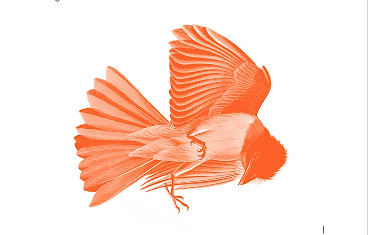 Afbeelding van Vogel Vrijheid door RSO en ASO