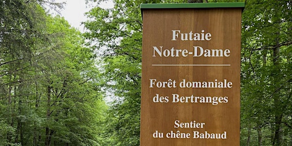 Inauguration de la Futaie Notre-Dame en forêt des Bertranges