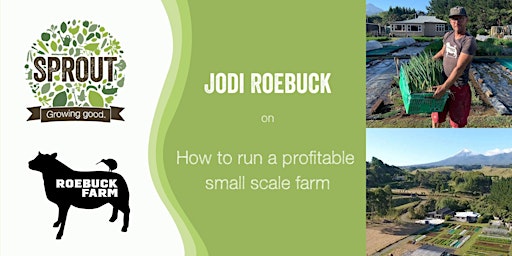 Primaire afbeelding van Jodi Roebuck - how to run a profitable small scale farm