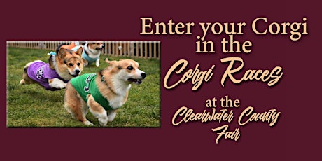 Corgi Races ENTERING YOUR CORGI:  Clearwater County Fair tickets