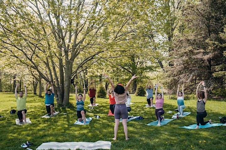 All-levels yoga class at Sunnybrook Park image