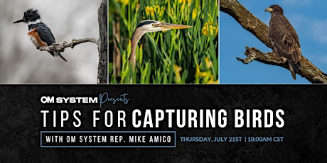 Tips for Capturing Birds with OM System Rep, Mike Amico tickets