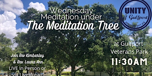 Weekly Meditation under The Meditation Tree at the Gulfport Veterans Park