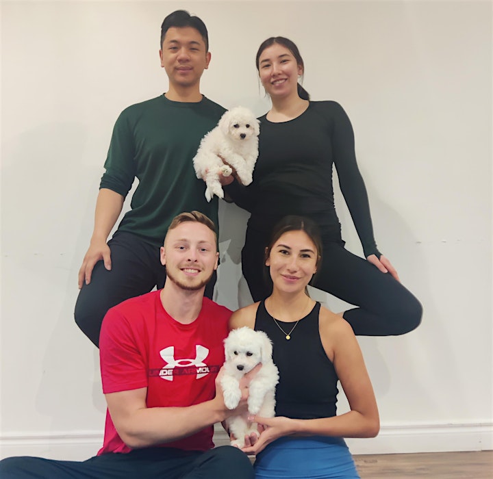 Toronto Dating Hub - Yoga with Puppies - June Singles Event image