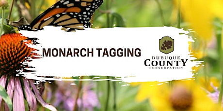 Monarch Tagging: Proving Grounds