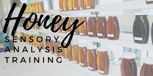 Honey Sensory Analysis Workshop February 2023