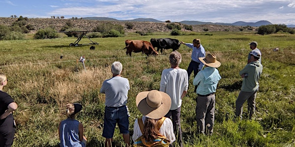 Extending Your Grazing in a Drought - Summit County Community Workshop
