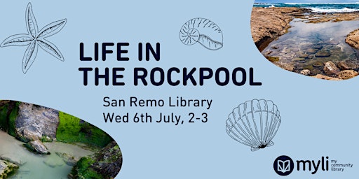 Life in the Rockpool at San Remo Library