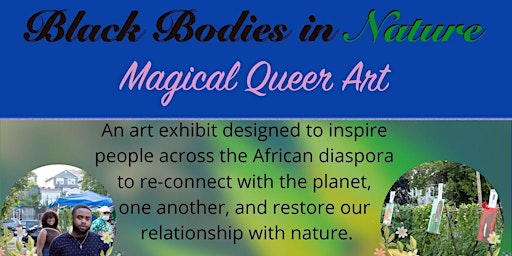 Black Bodies in Nature: Art Showcase
