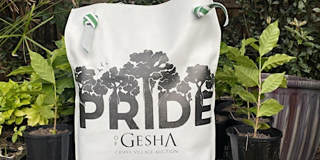 Pride of Gesha: Gesha Village primary image