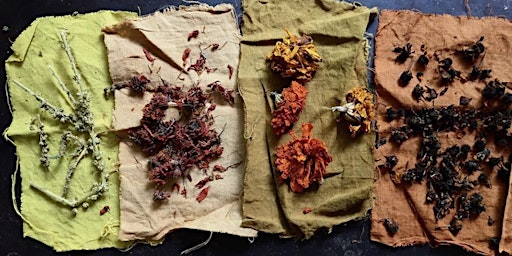 Organic Bundle Dyeing with Sophie from Pigment