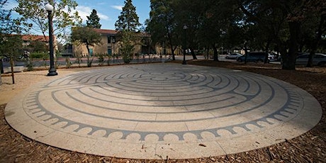 Mindful Yoga for Beginners on the Windhover Labyrinth primary image