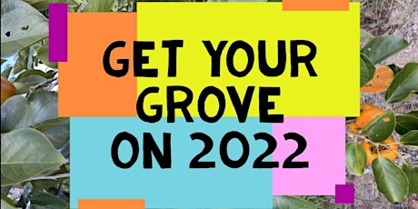 Get Your Grove On 2022: Growing Fruit in Florida