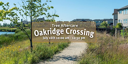 Oakridge Crossing Tree Aftercare July 16