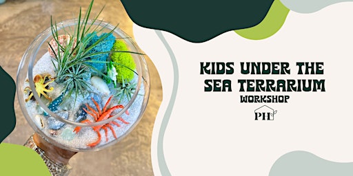 Kids Under the Sea Terrarium