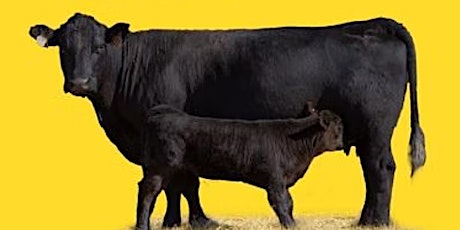 2022 Tuskegee University Beef Cattle Short Course tickets