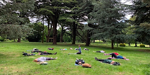 Outdoor Yoga in the trees @ Wollaton Hall & Deer Park
