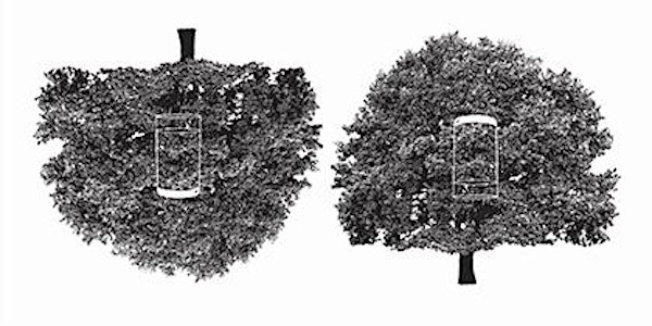 Greyscale: Gallery Talk with the Artists