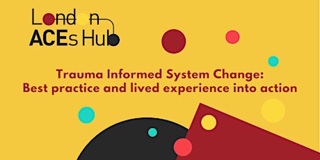 Trauma Informed System Change: Best practice & lived experience into action tickets