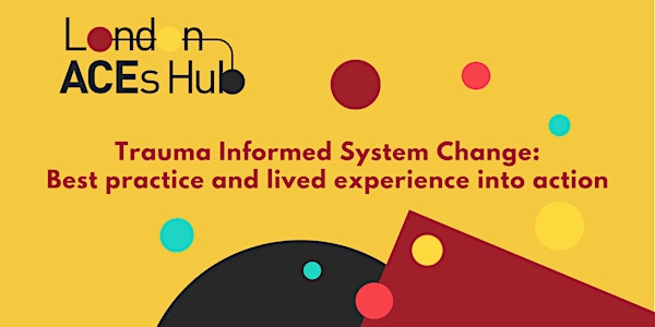 Trauma Informed System Change: Best practice & lived experience into action