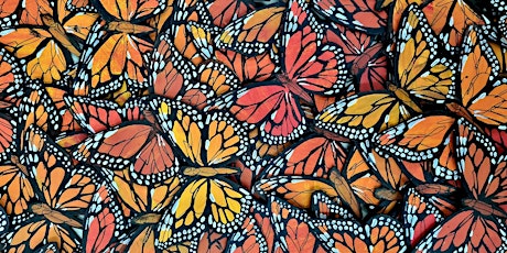 Beautifuly Butterfly Painting Workshop with Prudence and Jo Early Bird $50 tickets