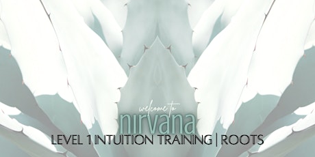 level 1 intuition training | ROOTS primary image