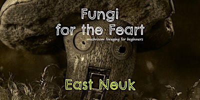 Fungi for the Feart: East Neuk - mushroom foraging