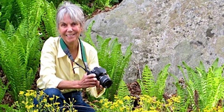 Wildflower Walk with Naturalist Carol Gracie primary image