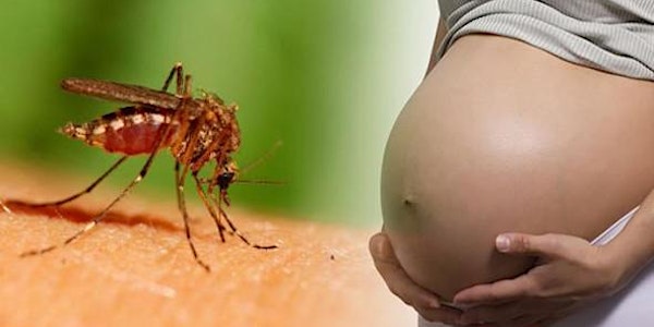 Zika Birth Defects Symposium 