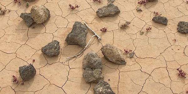 Climat et projets de développement