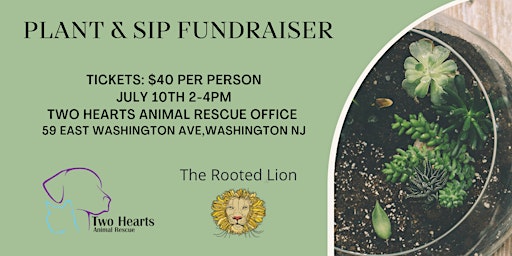 Plant & Sip with The Rooted Lion