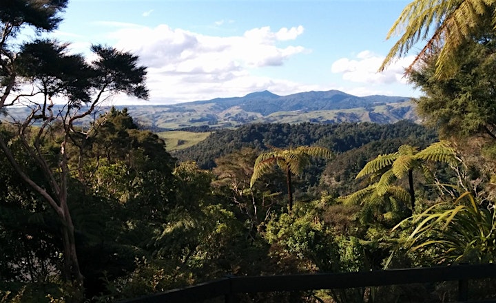 R&R Get Out to Kawhia for a Rural Escape! image