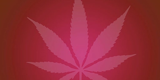 highVIBE Cannabis Flow
