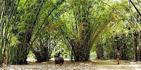 4th World Bamboo Workshop. Vietnam