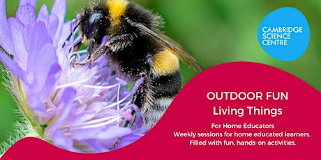 Home Educators Session - Outdoor Fun - Living Things
