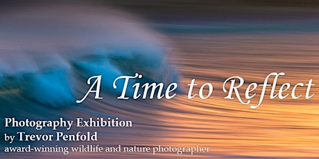Exhibition - ‘A Time to Reflect’ primary image