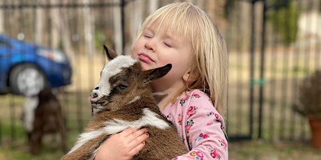 Primaire afbeelding van Snuggle The Homestead Goats, Puppies and Chicks!